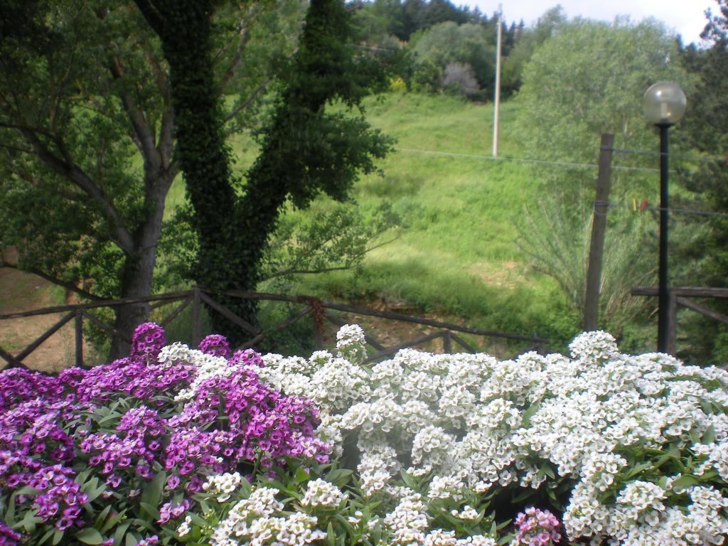 Agriturismo La Baroncella Montemerano Oda fotoğraf