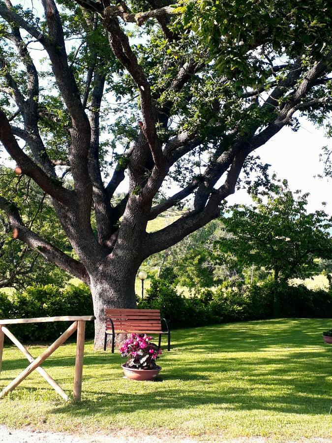 Agriturismo La Baroncella Montemerano Dış mekan fotoğraf
